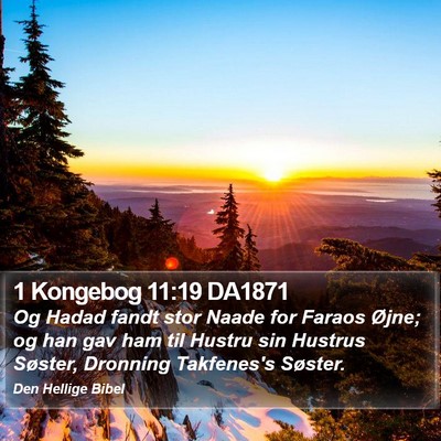 1 Kongebog 11:19 DA1871 Bible Verse Image