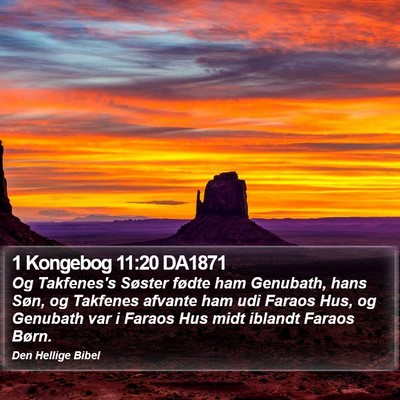 1 Kongebog 11:20 DA1871 Bible Verse Image