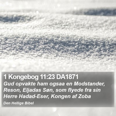 1 Kongebog 11:23 DA1871 Bible Verse Image