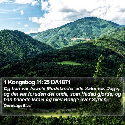 1 Kongebog 11:25 DA1871 Bible Verse Image