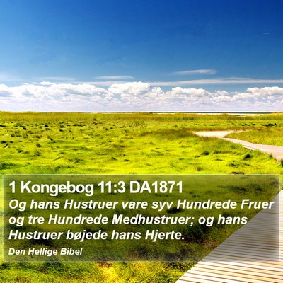1 Kongebog 11:3 DA1871 Bible Verse Image