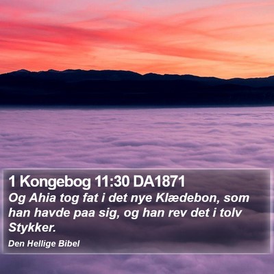 1 Kongebog 11:30 DA1871 Bible Verse Image