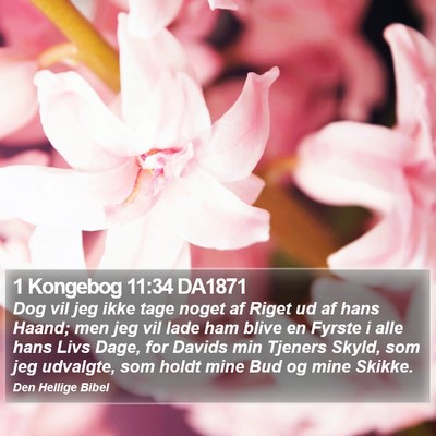 1 Kongebog 11:34 DA1871 Bible Verse Image