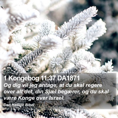 1 Kongebog 11:37 DA1871 Bible Verse Image