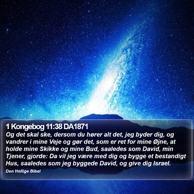 1 Kongebog 11:38 DA1871 Bible Verse Image