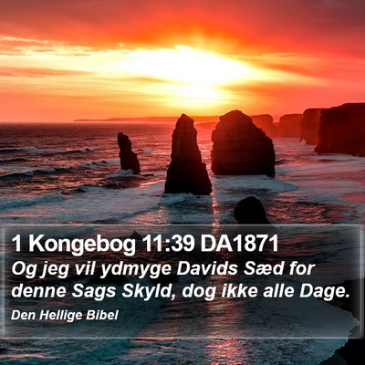 1 Kongebog 11:39 DA1871 Bible Verse Image
