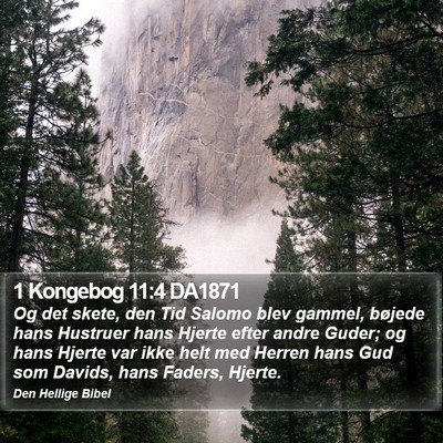 1 Kongebog 11:4 DA1871 Bible Verse Image