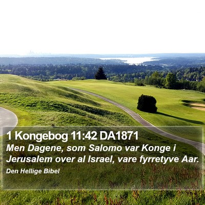 1 Kongebog 11:42 DA1871 Bible Verse Image