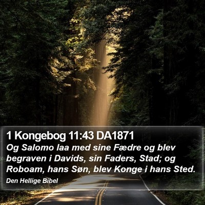 1 Kongebog 11:43 DA1871 Bible Verse Image