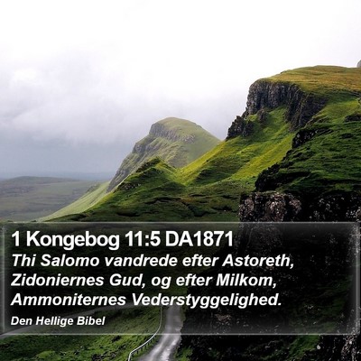 1 Kongebog 11:5 DA1871 Bible Verse Image