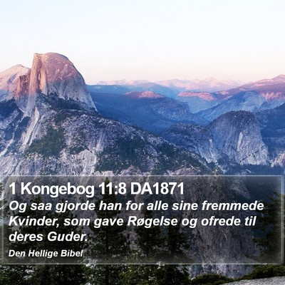 1 Kongebog 11:8 DA1871 Bible Verse Image