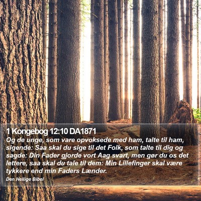 1 Kongebog 12:10 DA1871 Bible Verse Image
