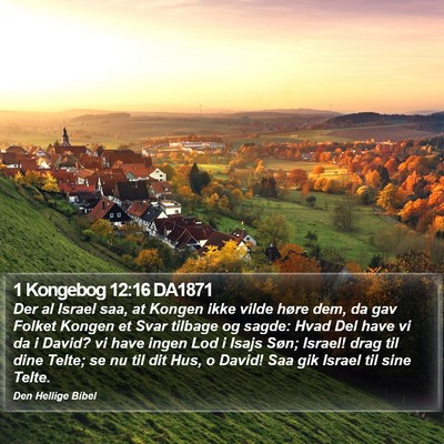 1 Kongebog 12:16 DA1871 Bible Verse Image