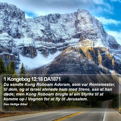 1 Kongebog 12:18 DA1871 Bible Verse Image