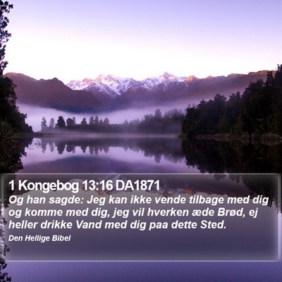 1 Kongebog 13:16 DA1871 Bible Verse Image