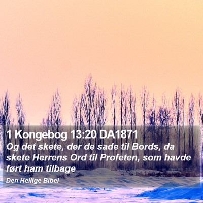1 Kongebog 13:20 DA1871 Bible Verse Image