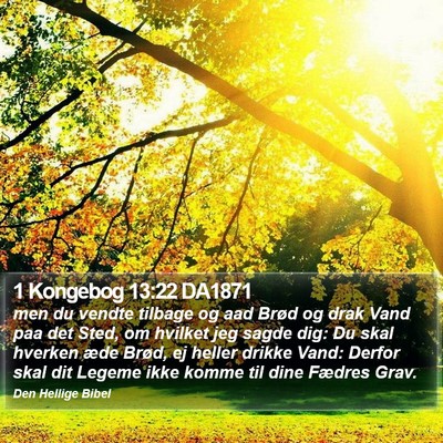 1 Kongebog 13:22 DA1871 Bible Verse Image