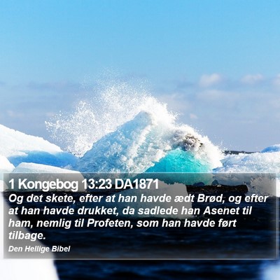 1 Kongebog 13:23 DA1871 Bible Verse Image