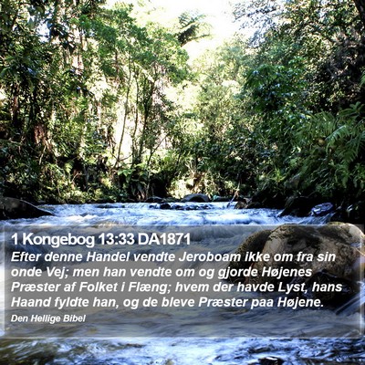 1 Kongebog 13:33 DA1871 Bible Verse Image