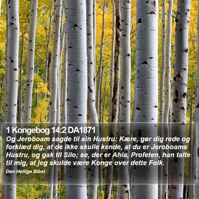 1 Kongebog 14:2 DA1871 Bible Verse Image