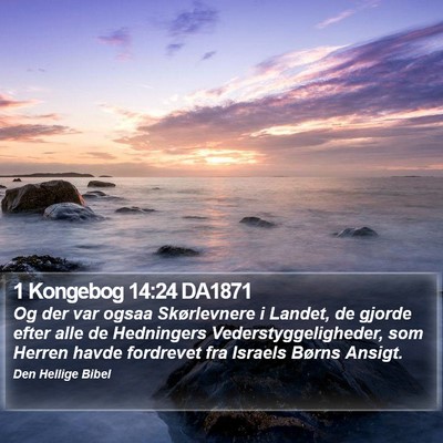 1 Kongebog 14:24 DA1871 Bible Verse Image