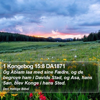 1 Kongebog 15:8 DA1871 Bible Verse Image