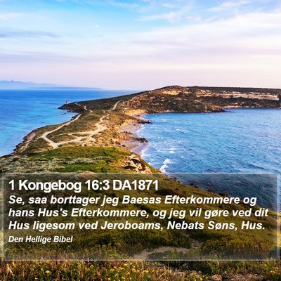 1 Kongebog 16:3 DA1871 Bible Verse Image