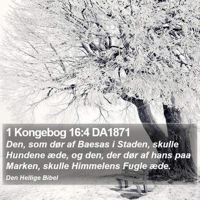 1 Kongebog 16:4 DA1871 Bible Verse Image