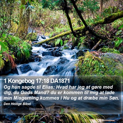 1 Kongebog 17:18 DA1871 Bible Verse Image