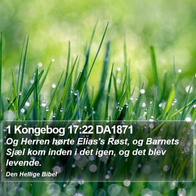 1 Kongebog 17:22 DA1871 Bible Verse Image