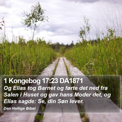 1 Kongebog 17:23 DA1871 Bible Verse Image