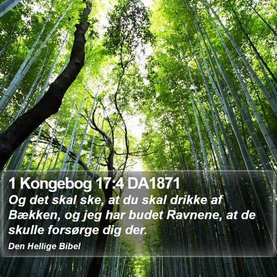 1 Kongebog 17:4 DA1871 Bible Verse Image