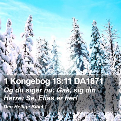 1 Kongebog 18:11 DA1871 Bible Verse Image