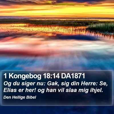 1 Kongebog 18:14 DA1871 Bible Verse Image