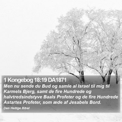 1 Kongebog 18:19 DA1871 Bible Verse Image