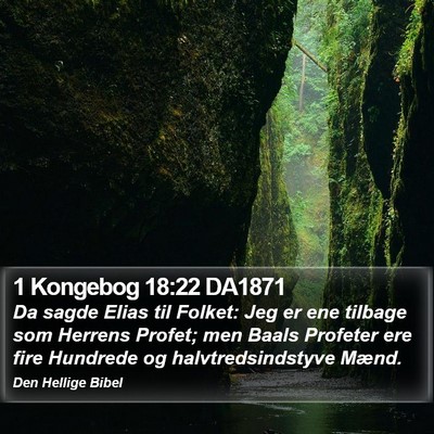 1 Kongebog 18:22 DA1871 Bible Verse Image