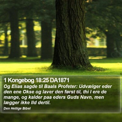1 Kongebog 18:25 DA1871 Bible Verse Image