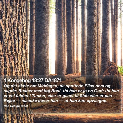 1 Kongebog 18:27 DA1871 Bible Verse Image