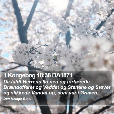1 Kongebog 18:38 DA1871 Bible Verse Image