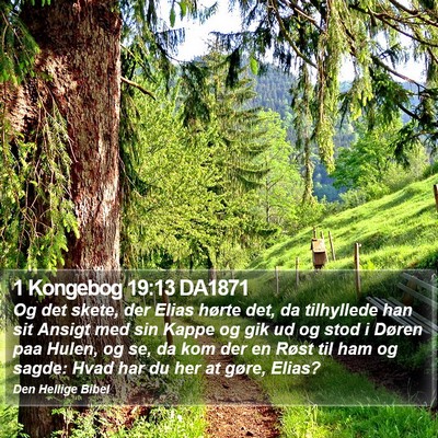 1 Kongebog 19:13 DA1871 Bible Verse Image