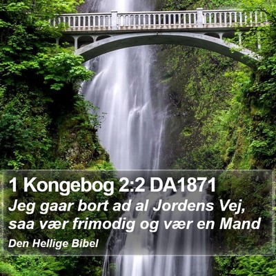 1 Kongebog 2:2 DA1871 Bible Verse Image