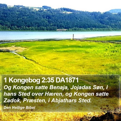 1 Kongebog 2:35 DA1871 Bible Verse Image