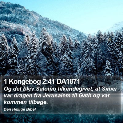 1 Kongebog 2:41 DA1871 Bible Verse Image