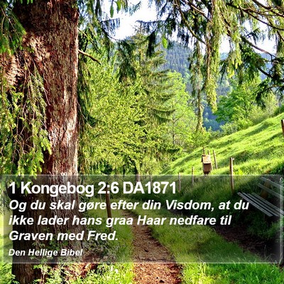 1 Kongebog 2:6 DA1871 Bible Verse Image