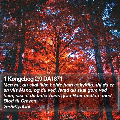 1 Kongebog 2:9 DA1871 Bible Verse Image