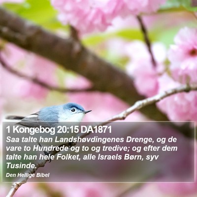 1 Kongebog 20:15 DA1871 Bible Verse Image