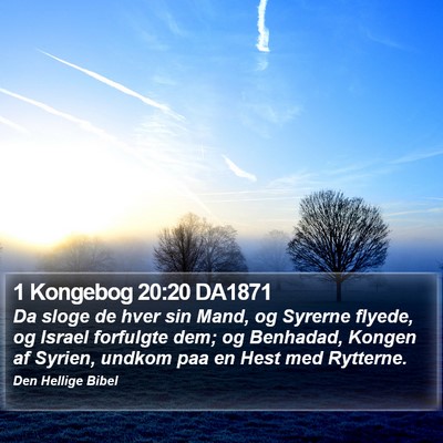 1 Kongebog 20:20 DA1871 Bible Verse Image