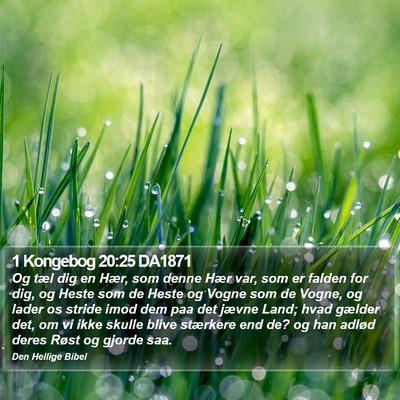 1 Kongebog 20:25 DA1871 Bible Verse Image