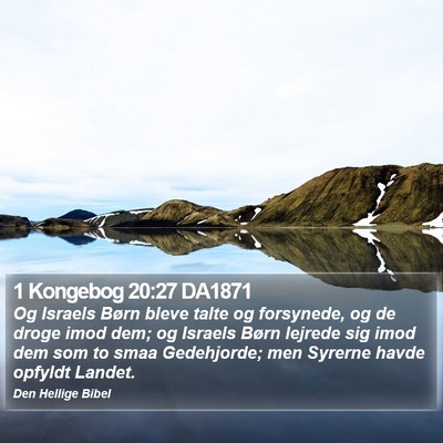 1 Kongebog 20:27 DA1871 Bible Verse Image