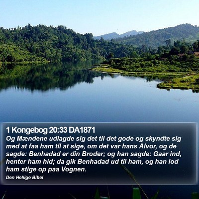 1 Kongebog 20:33 DA1871 Bible Verse Image
